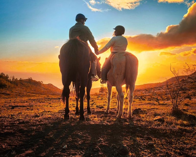 Kapolei Sunset Horseback Ride