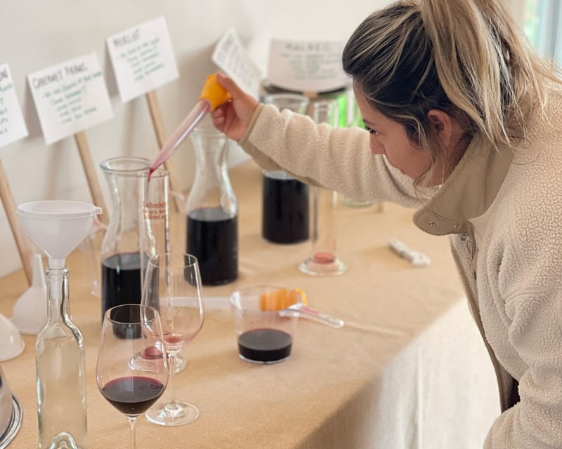 Winemaker for a Day Experience