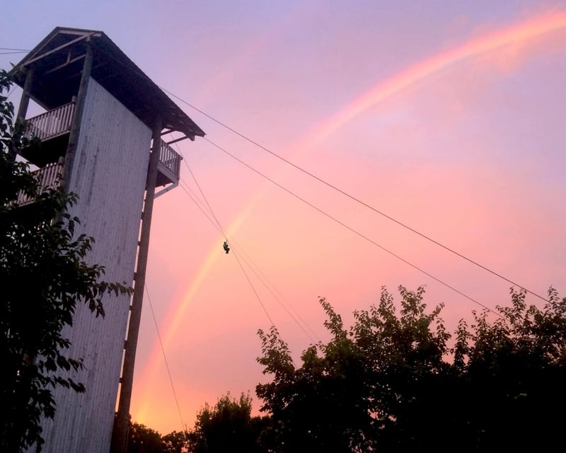 Zipline Tower Tour in Bonner Springs