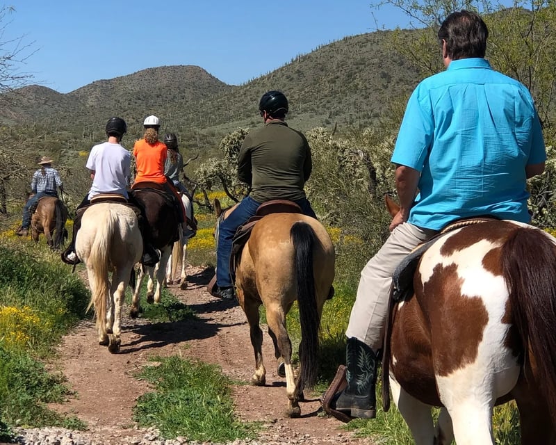 High Desert Trail Ride & Lesson on Historic Lands