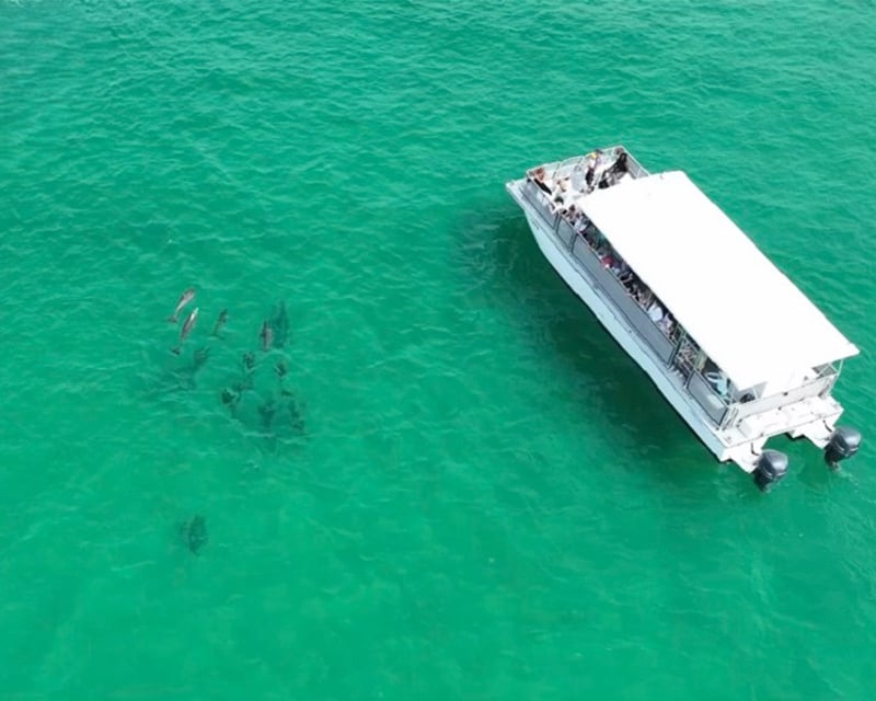 Crab Island Dolphin Cruise From Destin