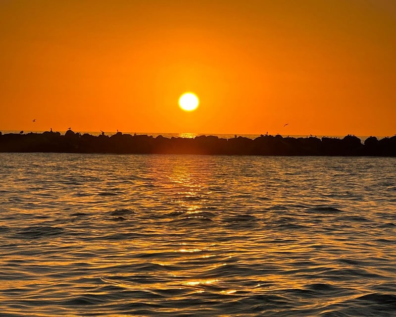 SeaQuest Sunset Dolphin Cruise