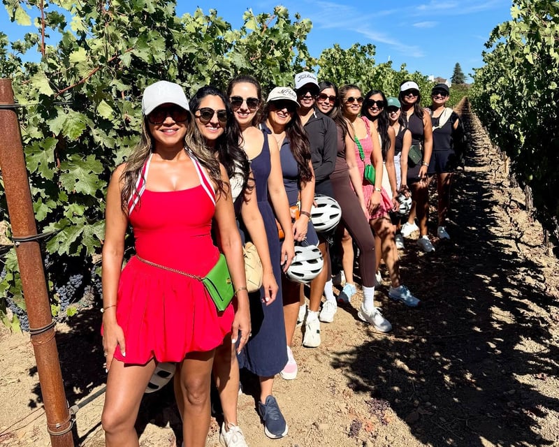 Cycle Dry Creek Valley Wineries E-Bike Tour