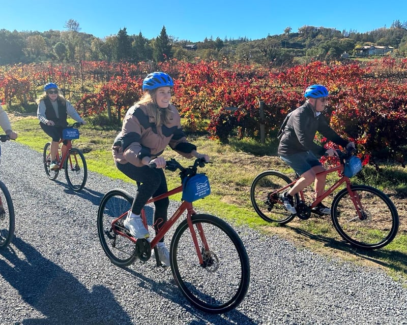 Healdsburg Bike Rentals for Wine Country Exploration