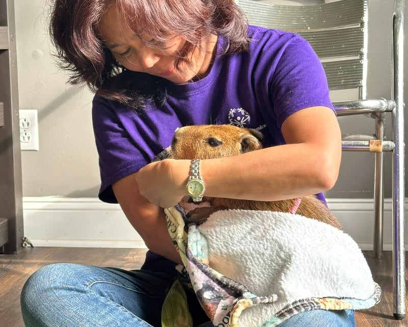 Capybara & Exotic Animal Encounter in Helen, GA