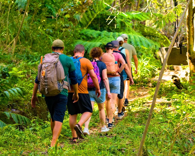 Guided Waterfall & Rainforest Hike in Maui