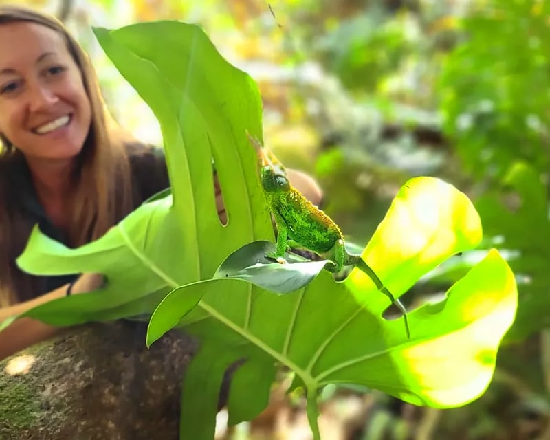Waterfall & Rainforest Hiking Tour on Maui