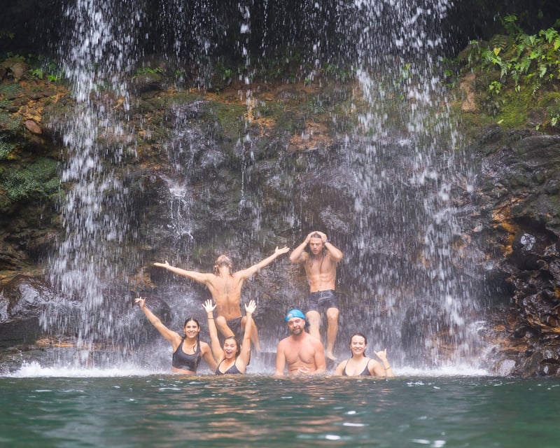 Naturalist-Guided Waterfall & Rainforest Hike on Maui