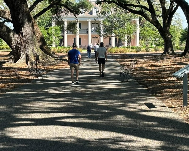 Oak Alley Plantation & Small Airboat Tour From New Orleans
