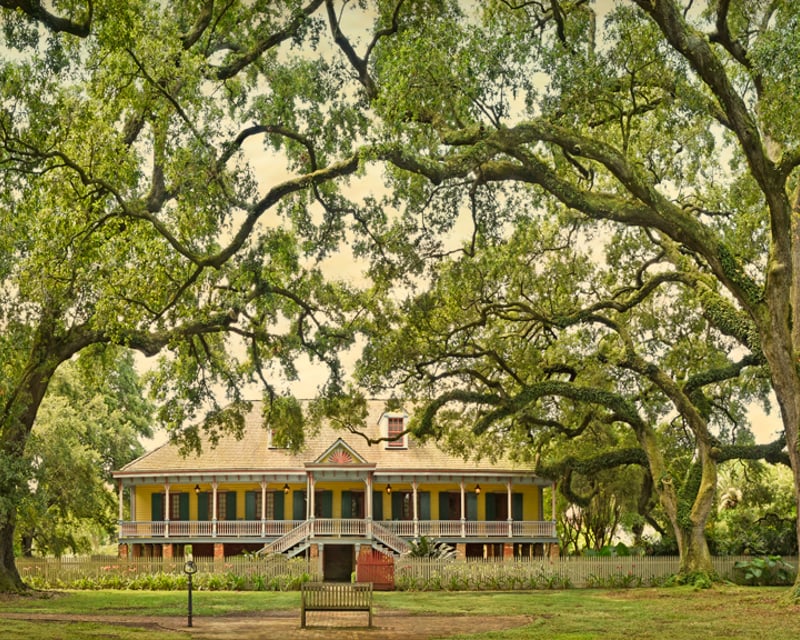 Laura Plantation Creole History Tour from New Orleans
