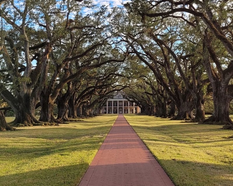 Swamp & Plantation Combo Tour