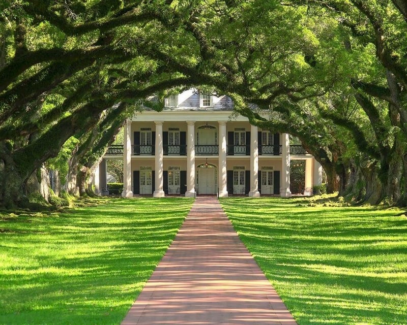 Oak Alley or Laura Plantation Tour from New Orleans