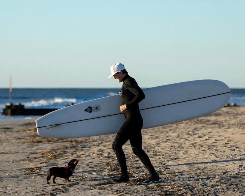 Rent a Surfboard in Ocean City, New Jersey