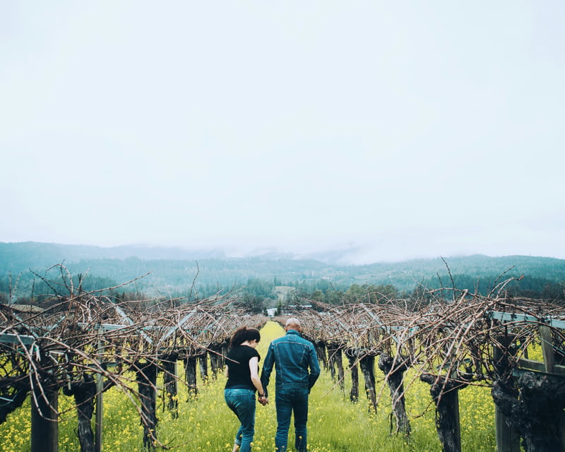 Relaxed Wine Tasting Outing in Sonoma & Napa
