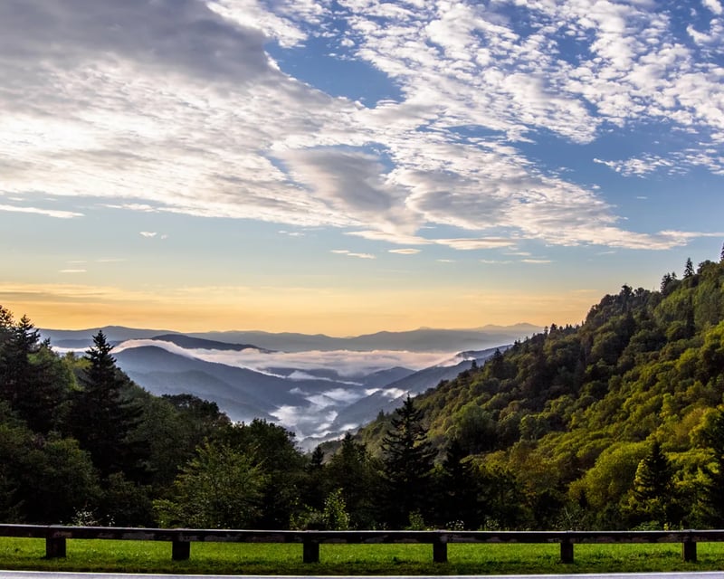 Newfound Gap Guided Jeep Tour From Pigeon Forge