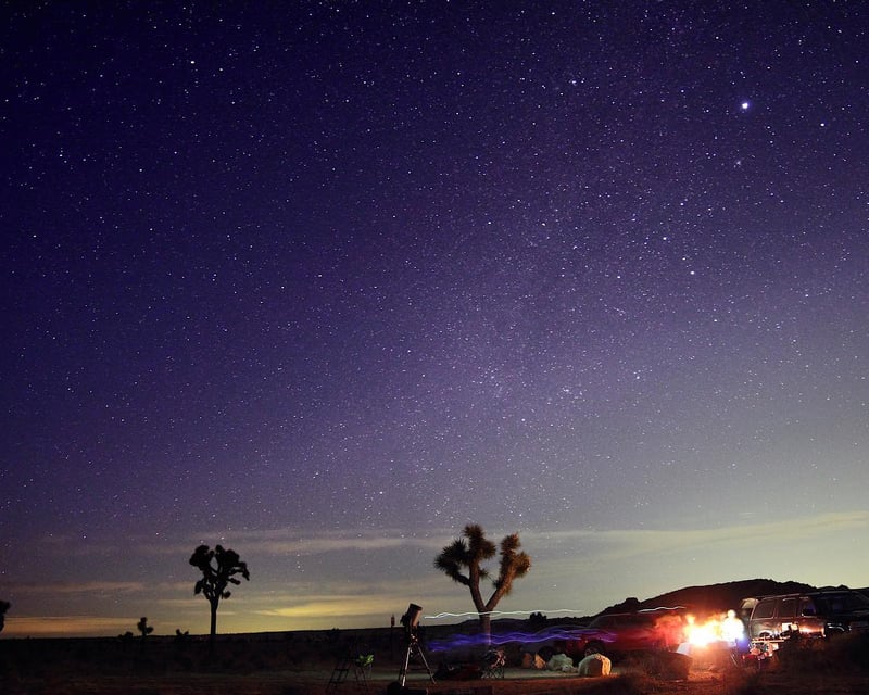 Private Joshua Tree Stargazing with an Astronomer