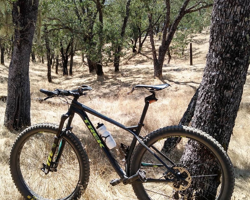 50cm Trek Domane Road Bike Rental in St. Helena