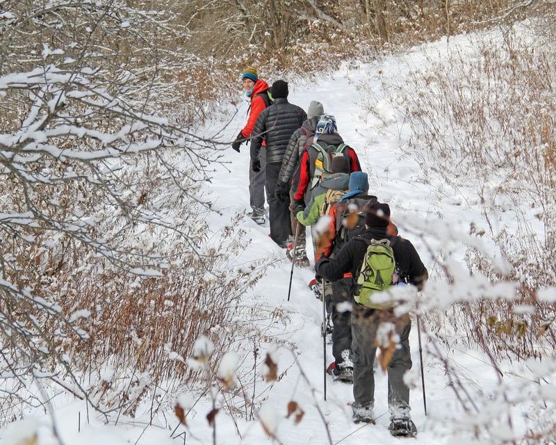 Moonlit Maple Snowshoe Tour