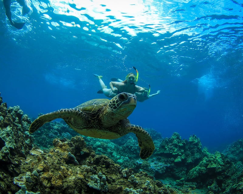 West Maui 4-Hour Snorkel Sail