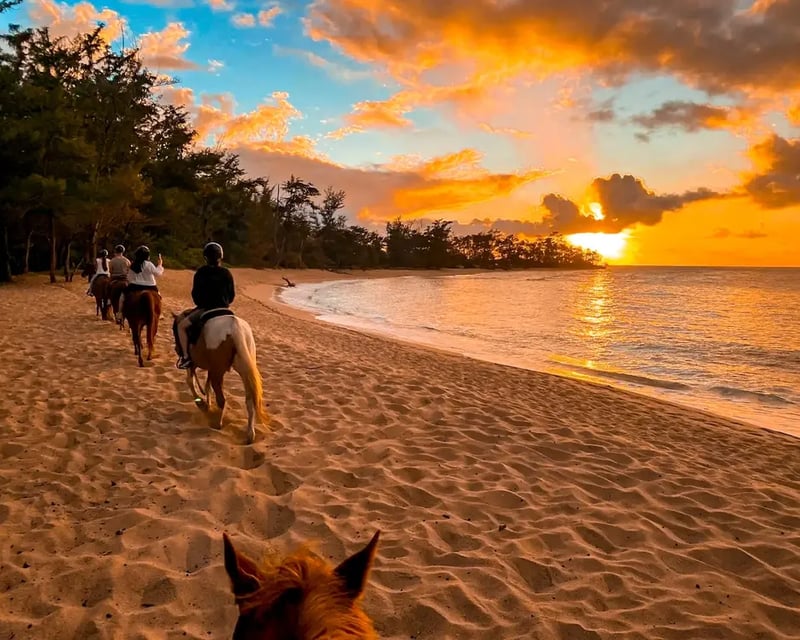 Sunset Oceanfront Horseback Ride in Waialua