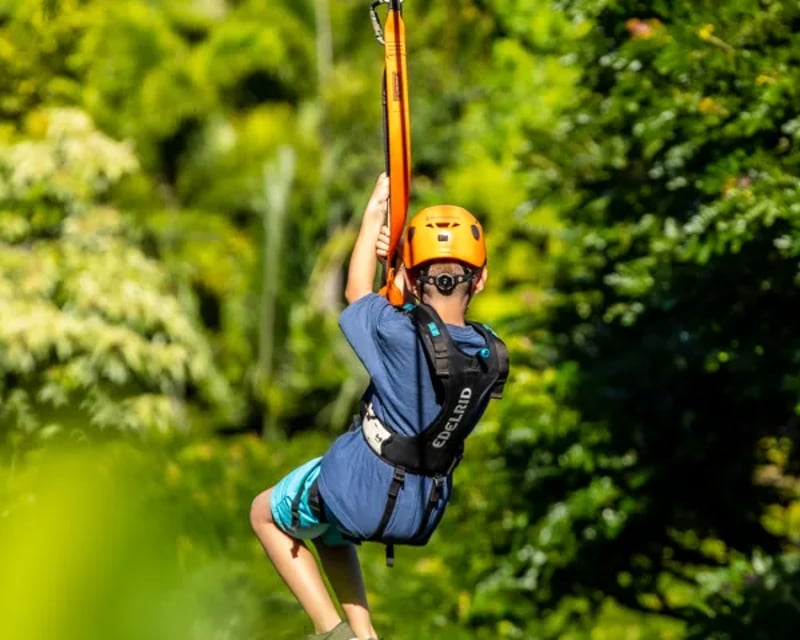8-Line Jungle Zipline Tour in Haiku, Maui