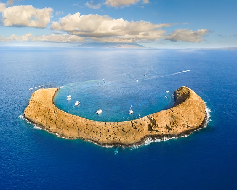 Snorkel Molokini Crater & Turtle Arches From Maui