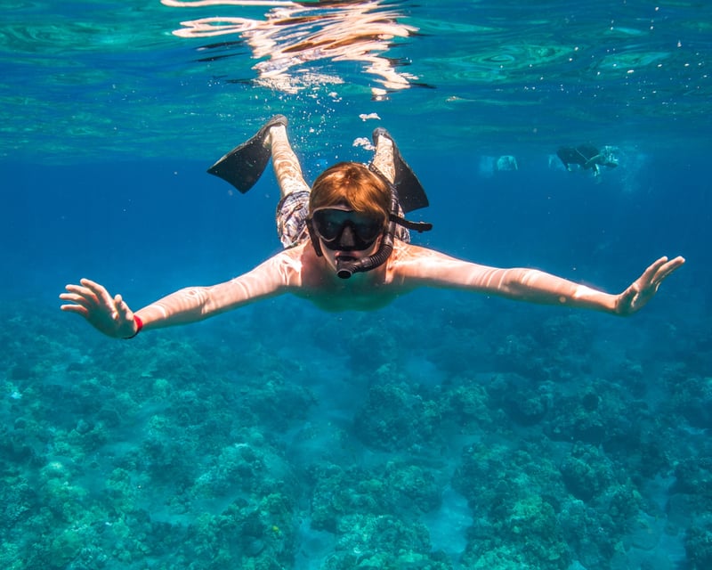 Snorkel Lana'i & Watch Dolphins From Ma'alaea