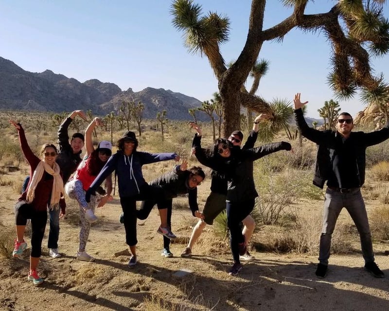 4.5-Hour Guided Sightseeing Tour in Joshua Tree