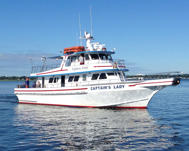 Mackerel Fishing Trip