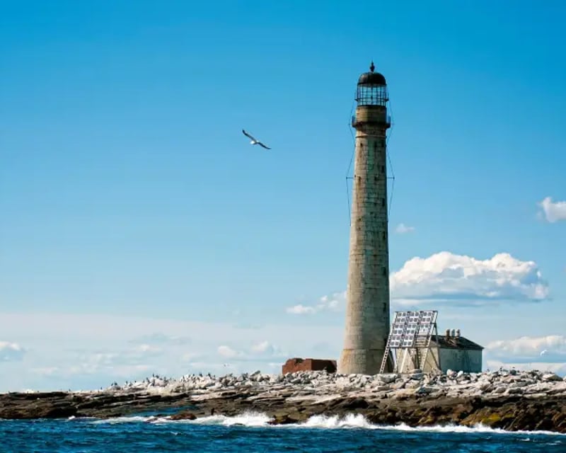 Nubble & Boon Island Lighthouse Boat Tour from Kennebunkport