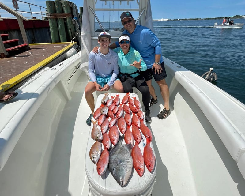 Offshore Bottom Fishing Charter