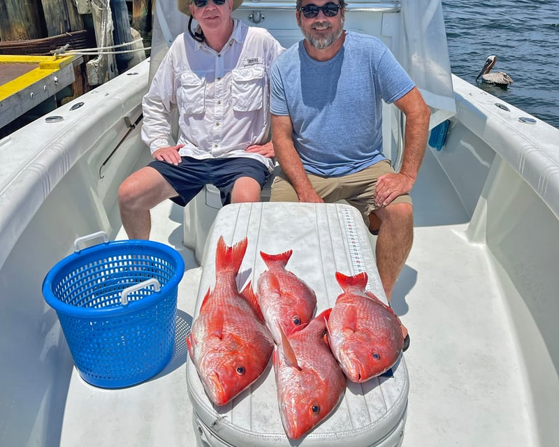 5-Hour Offshore Bottom Fishing Charter
