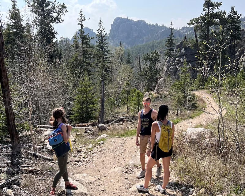 Half-Day Scenic Driving Tour of the Black Hills
