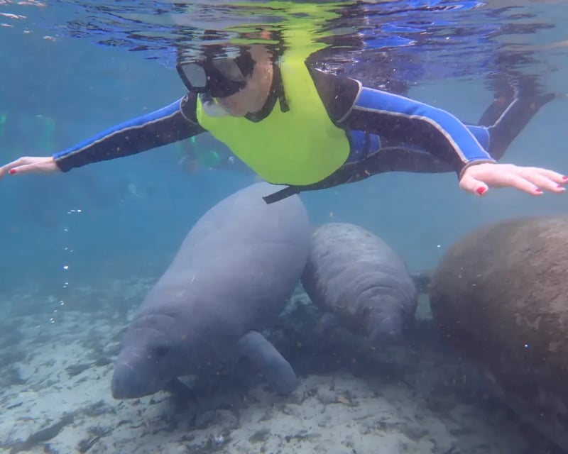 Private Manatee & Springs Boat Charter in Crystal River