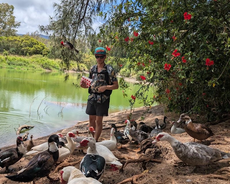 Guided Duck Pond Hike in Kapalua with Ocean & Mountain Views
