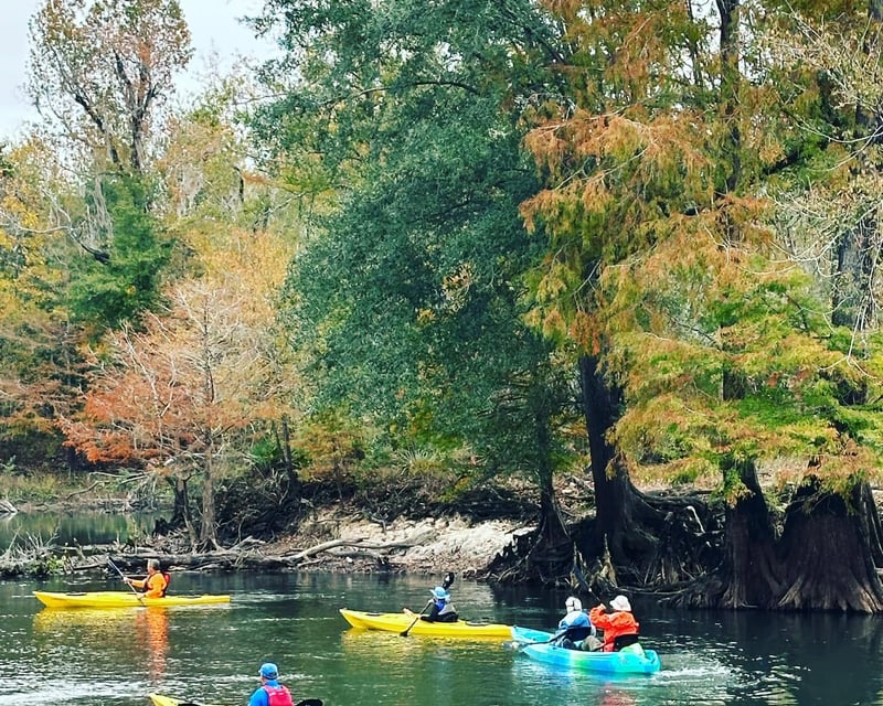 Paddle 11.5 Miles in Little Big Econ State Forest