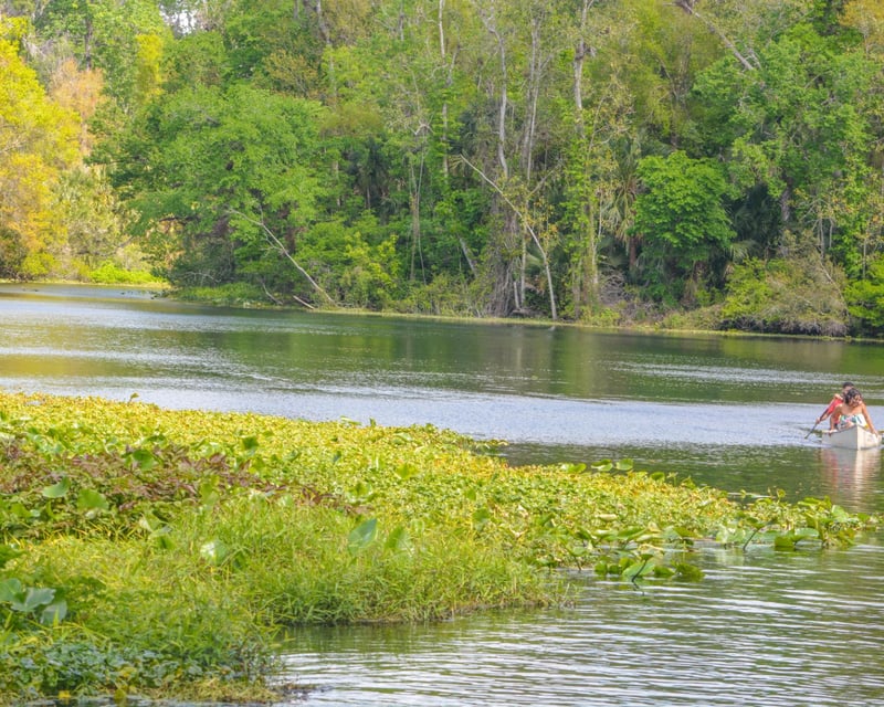 4-Hour Guided Wekiva River Kayak Tour