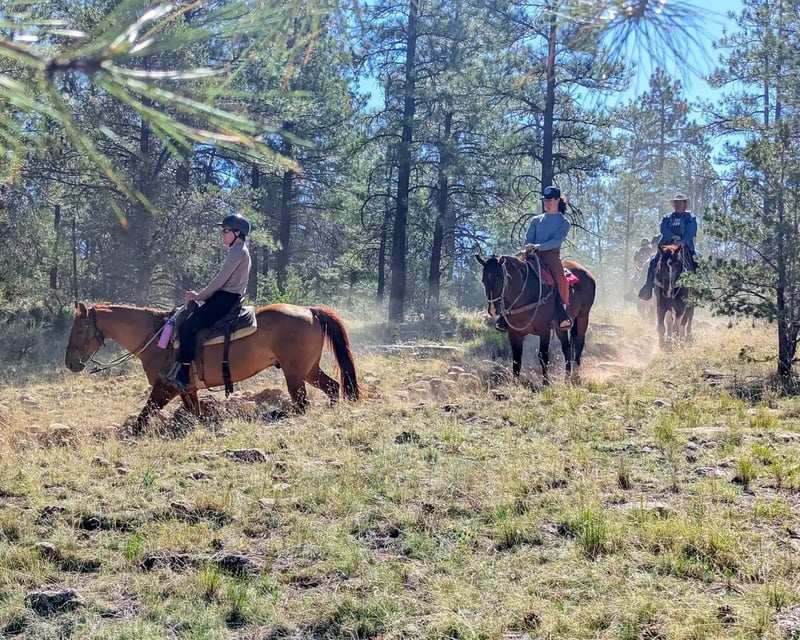 Evening Campfire Horseback Ride in Grand Canyon Village