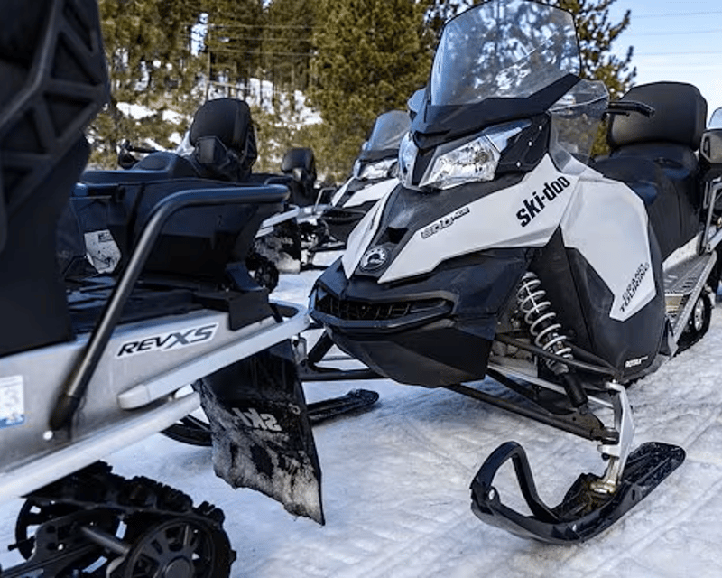 Guided 2-Hour Snowmobile Tour in Zephyr Cove