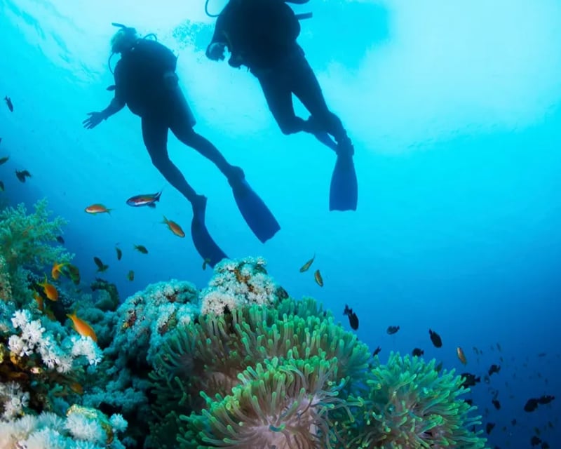 4-Hour Scuba Diving Class in Panama City Beach