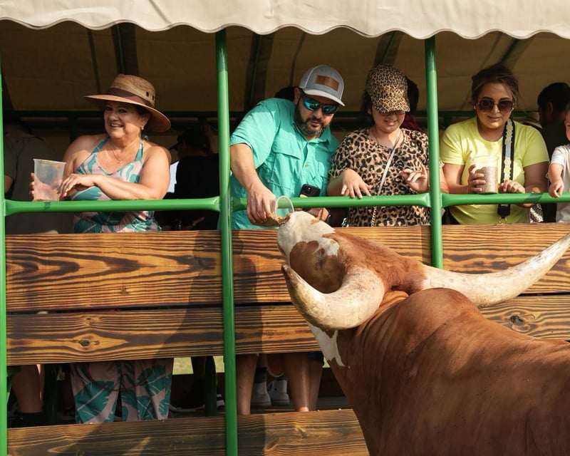 Los Fresnos Wine Tasting Safari Tour