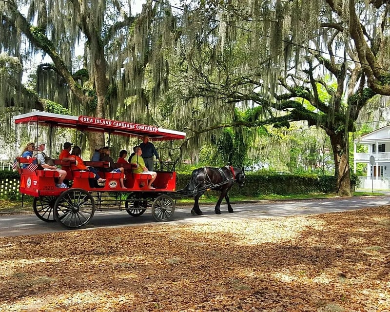 Horse-Drawn Historic Carriage Tour of Beaufort