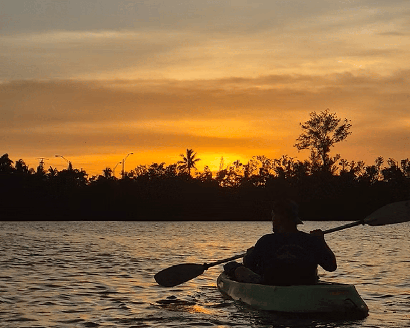 Evening Clear Kayak Mangrove Tour in Sarasota