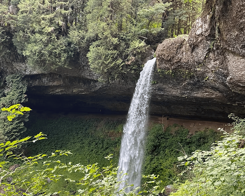 Private Guided Waterfall Hike in Silver Falls State Park