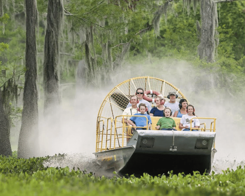 Airboat Swamp & Alligator Tour Near New Orleans