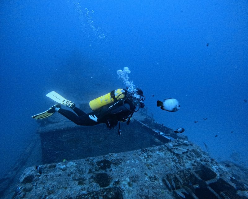 3-Tank Shipwreck & Reef Boat Dive in Honolulu