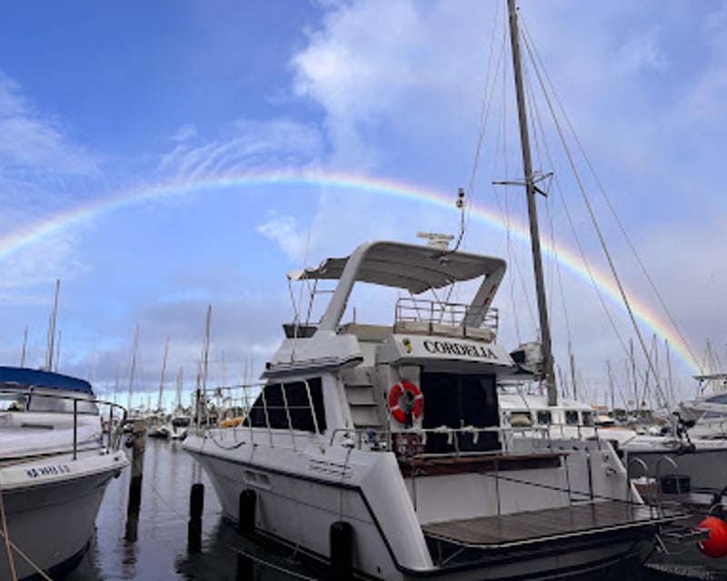Dive Yacht Snorkeling Cruise in Honolulu