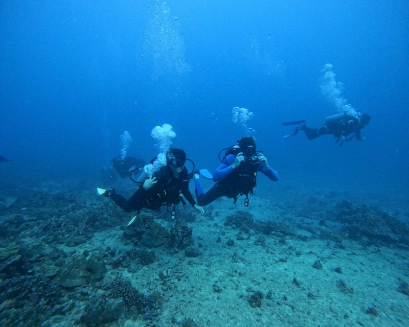 Shallow 2-Tank Reef Scuba Dive on Oahu