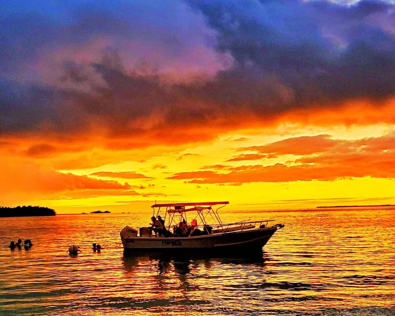 Private La Parguera VIP Boat Tour: Snorkeling, Sunset & Bioluminescent Bay Swimming