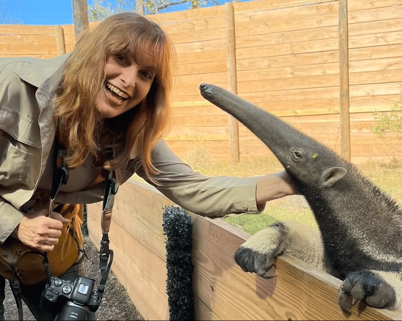 Giant Anteater Encounter at North Florida Wildlife Center